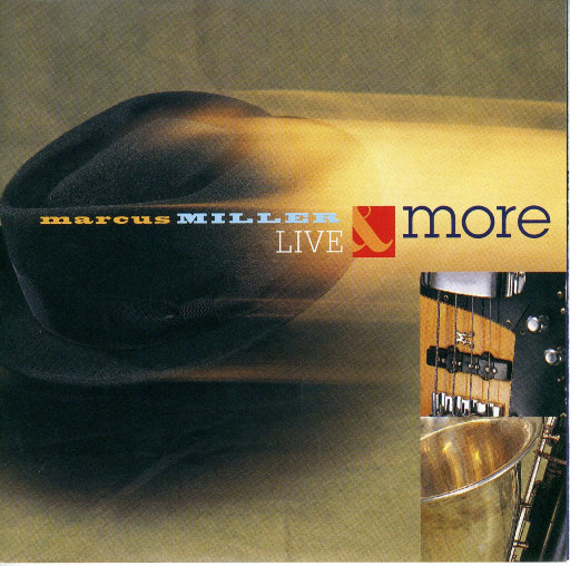 欧美一区二区A片
